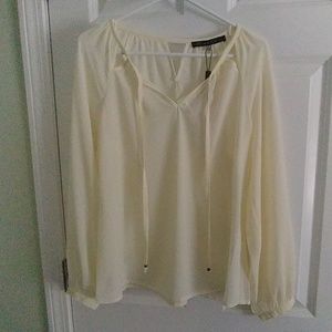 Rose & Olive sheer top